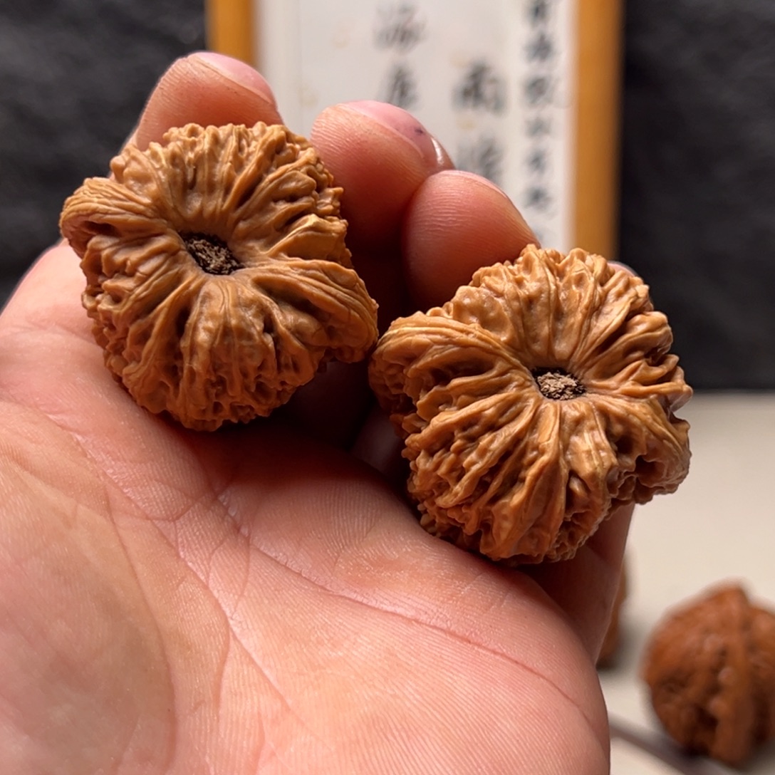 小***常文玩核桃把件南疆40黄金甲