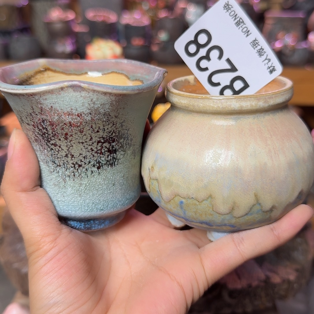 重庆小燕子欢迎大家238