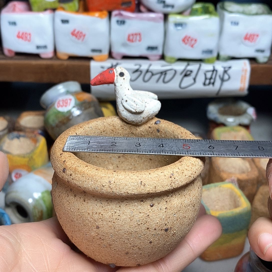 红陶拍5送一个小