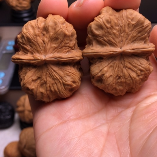 文玩核桃把件源****九龙方鼎9