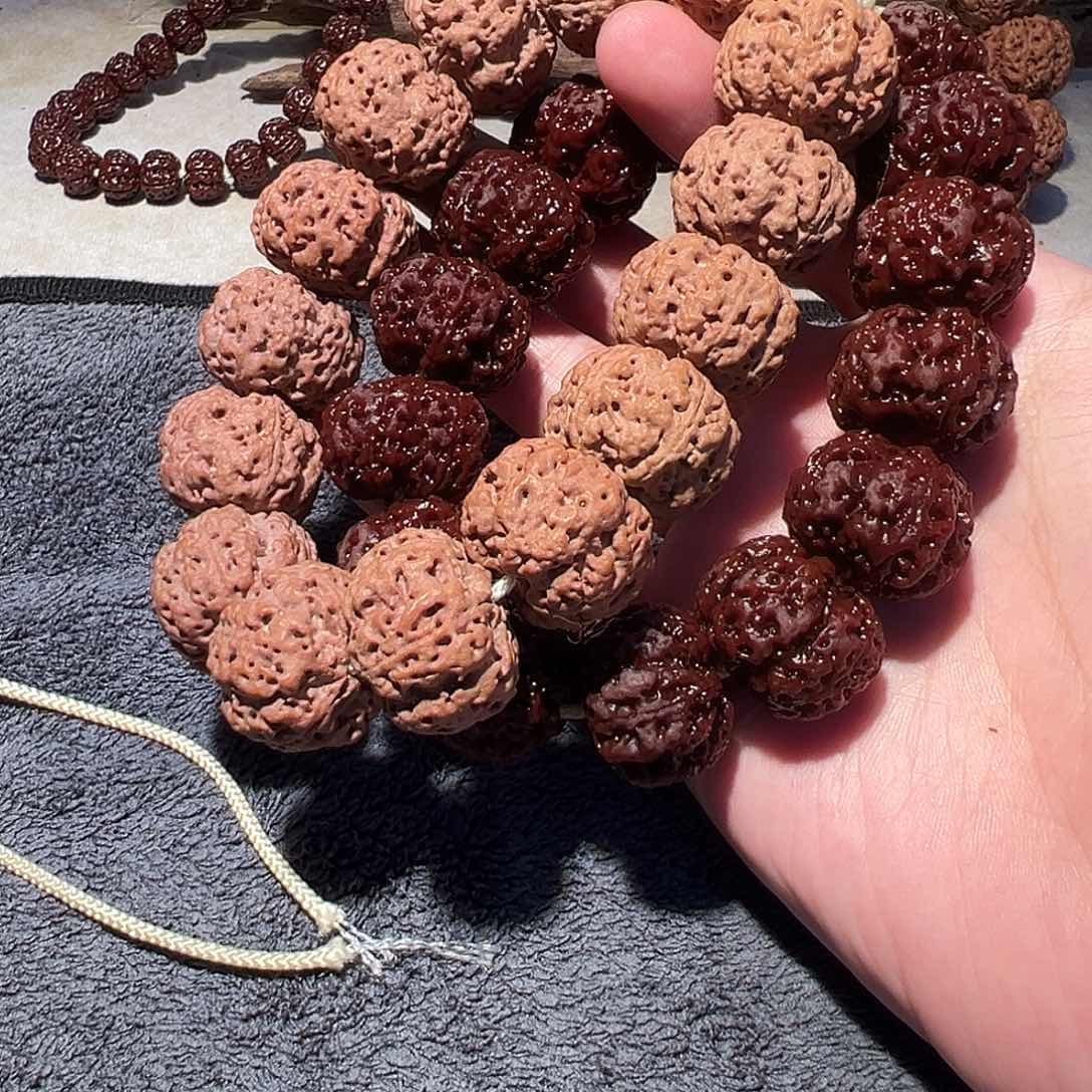 金刚菩提手串22尺寸左右蜂王福利