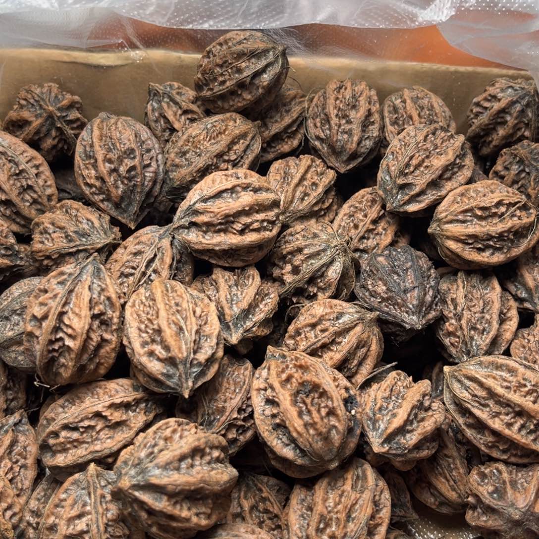 手串文玩核桃核桃67