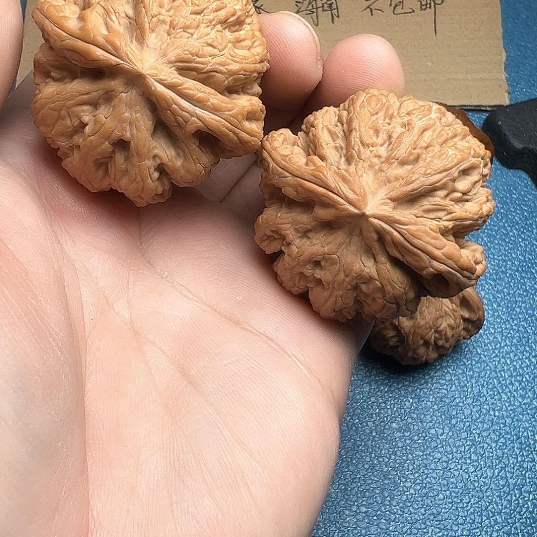 文玩核桃把件45➕大粗筋