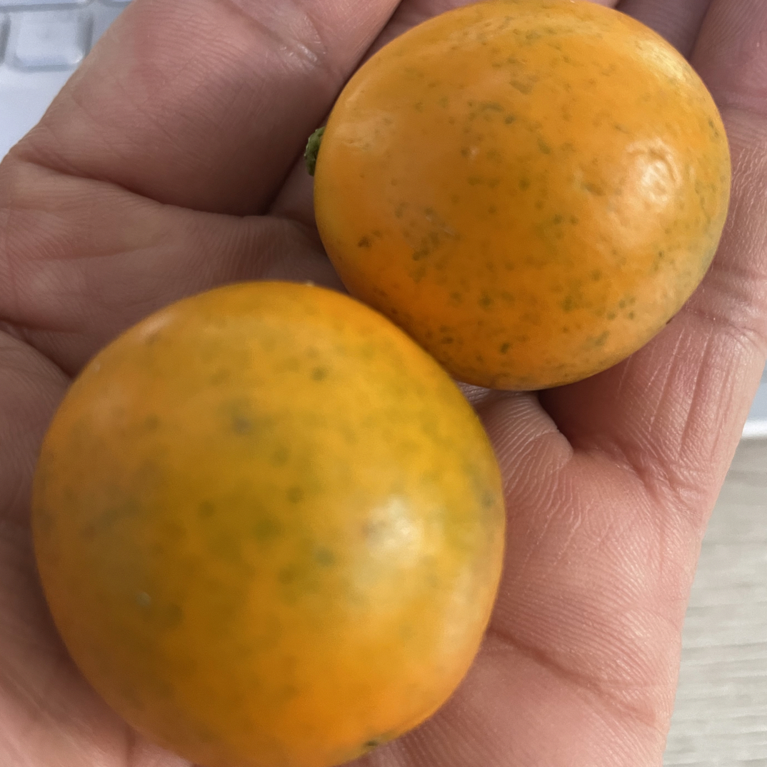 脆蜜金柑（两袋共1.6斤）广西壮族自治区