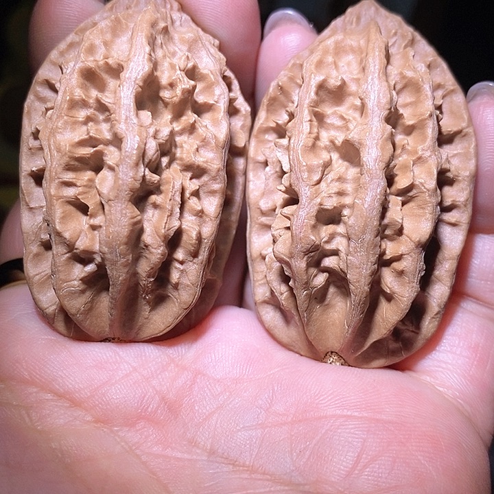 文玩核桃把件东北野生楸子小美2 0