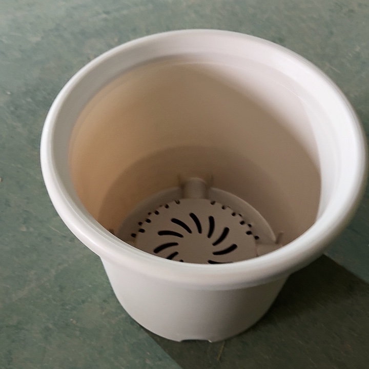 四季6号灰白无托7个特价微瑕