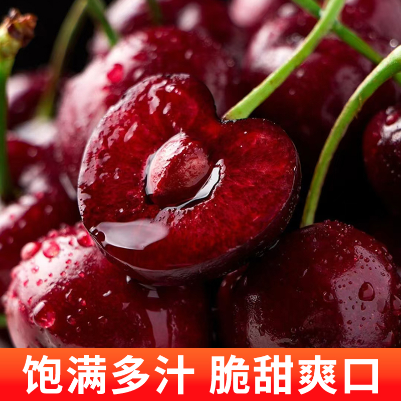 【优鲜】5斤装原箱未拆空运桑提娜3JD智利进口车厘子顺丰内附果径卡