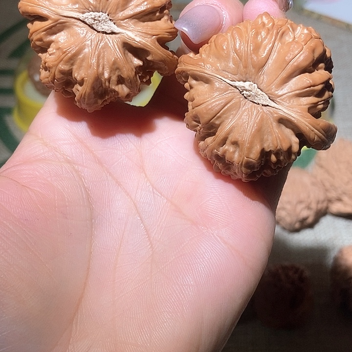 45尺寸白狮子！好运连连