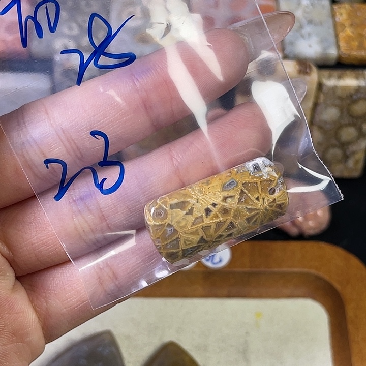 硅化珊瑚（珊瑚玉）珠宝金石合金若*