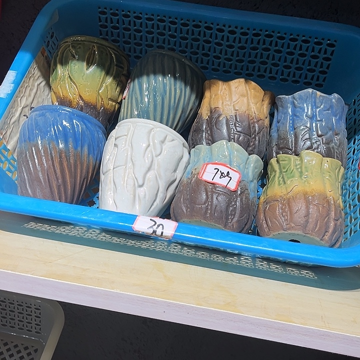 瓷片花盆多肉植物艺术品