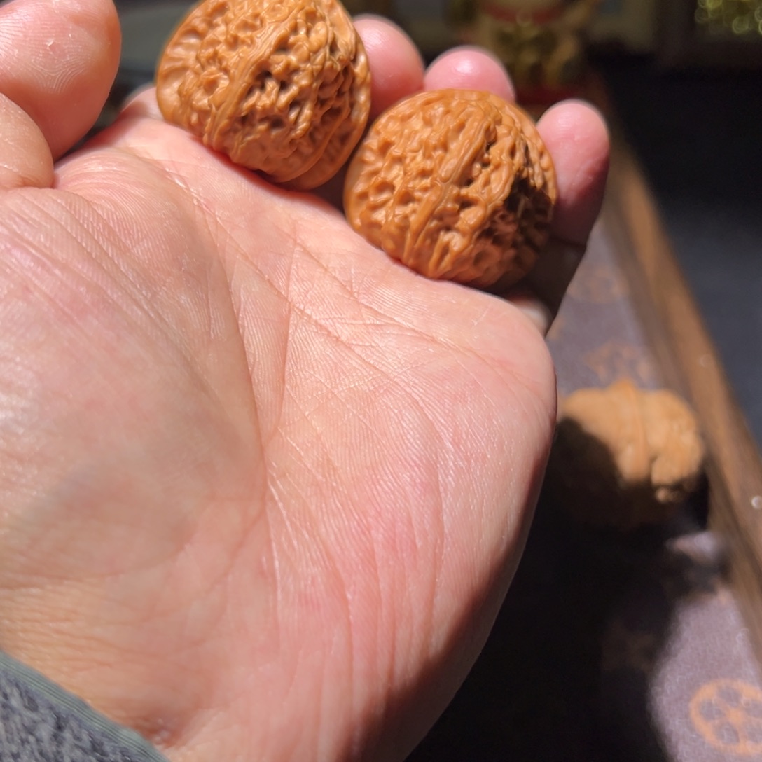 竖***子瑞麟文玩核桃白狮子