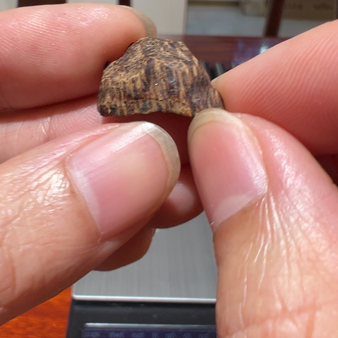 沉香碎屑沉香大*?海南黎母山老琼脂，0.8