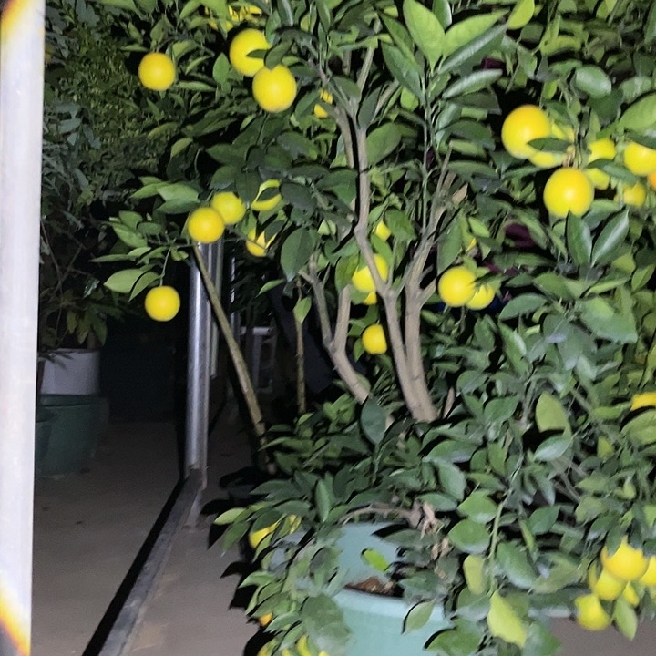 恨***高无花朵225778887665445678886533556