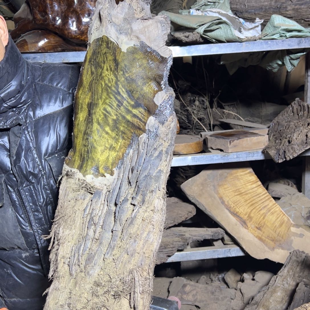 行***悔金丝楠11111111111111