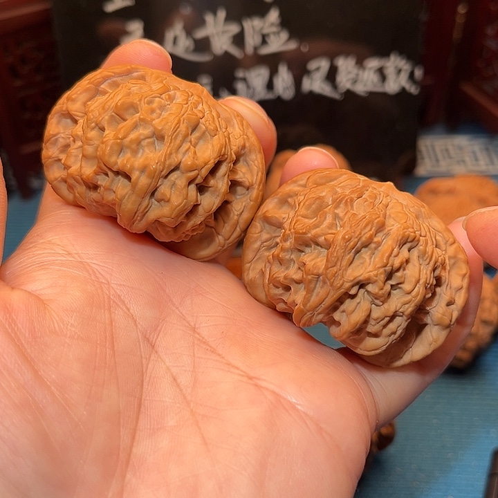 47,5全品狮虎兽……粗筋厚棱……