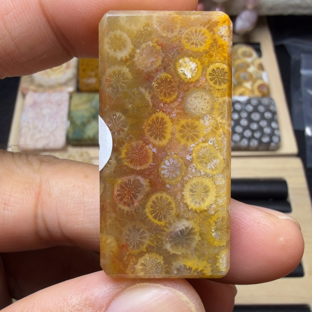 硅化玉未镶嵌天然有机玉石保真色瑕疵特价不退换
