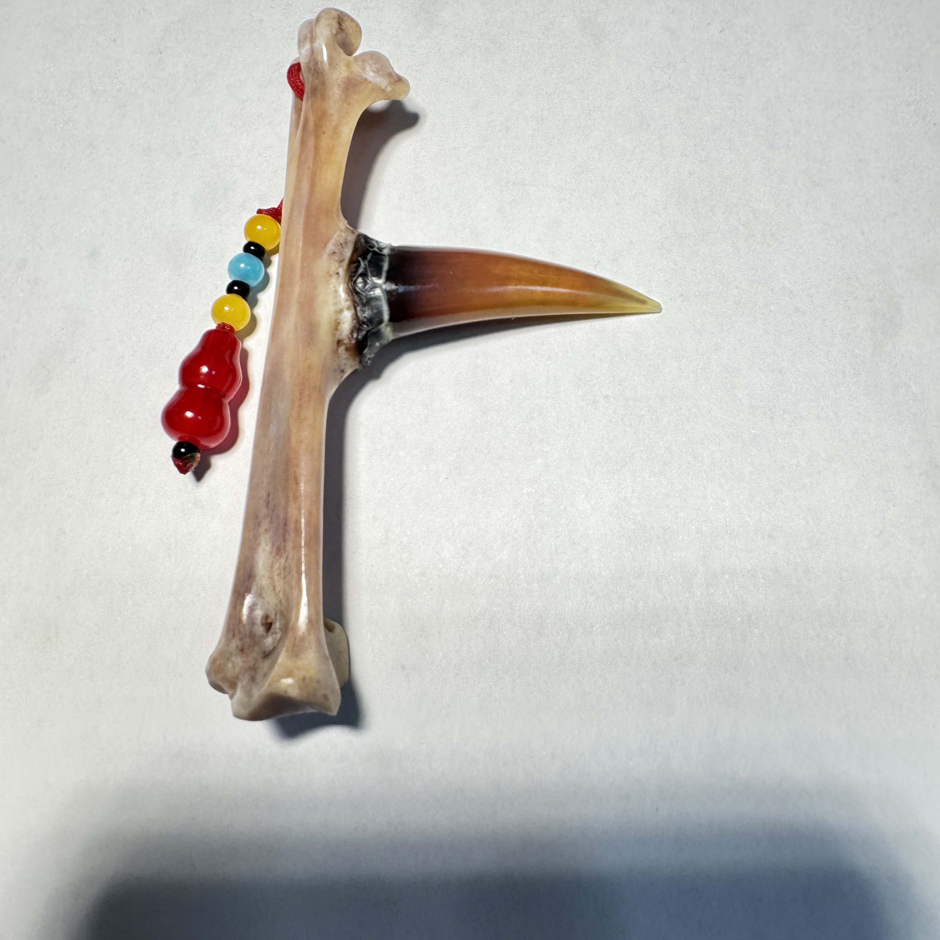 鸡爪骨工艺品，单只红黄炫彩蹬鸡爪骨