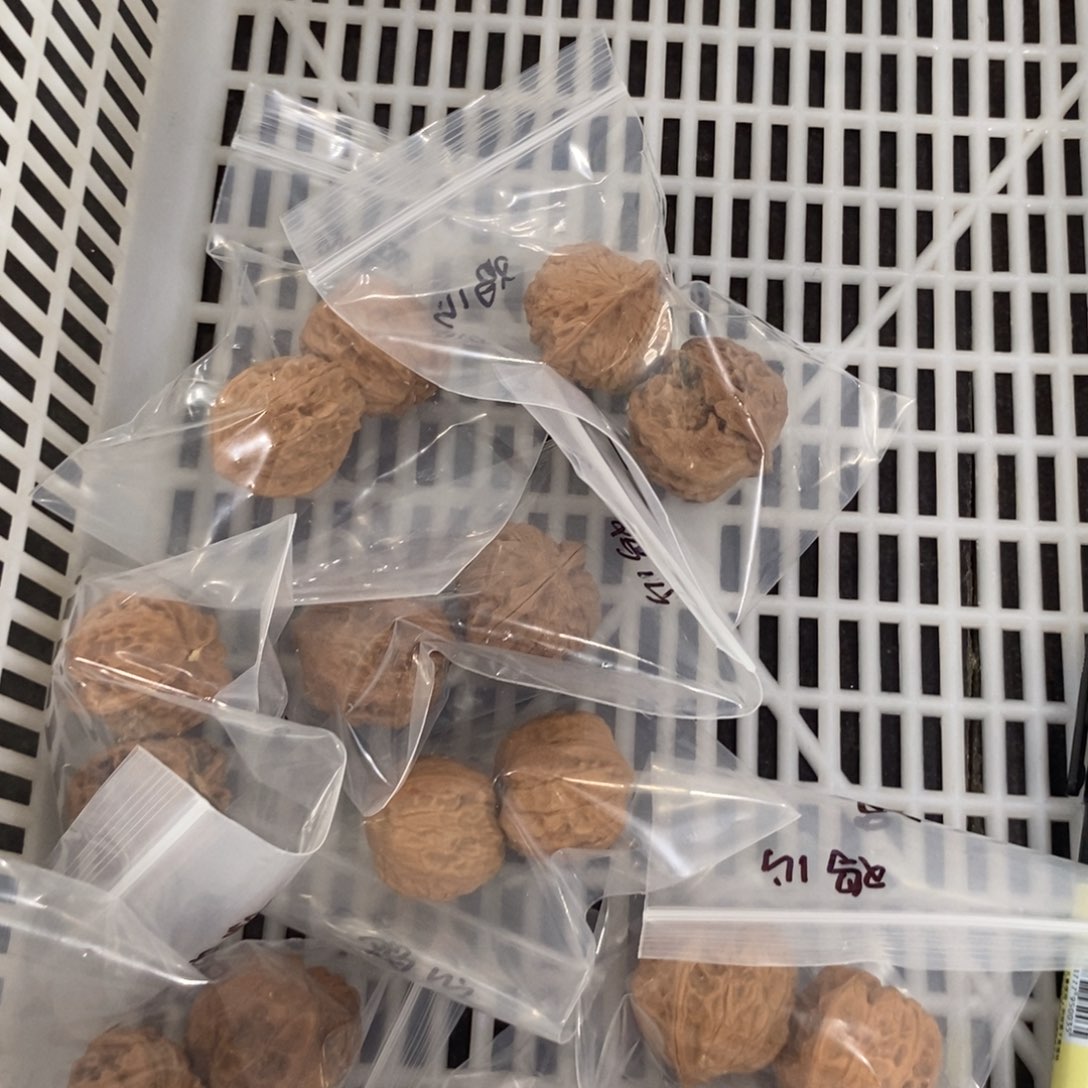 文玩核桃吊坠鸡心破烂