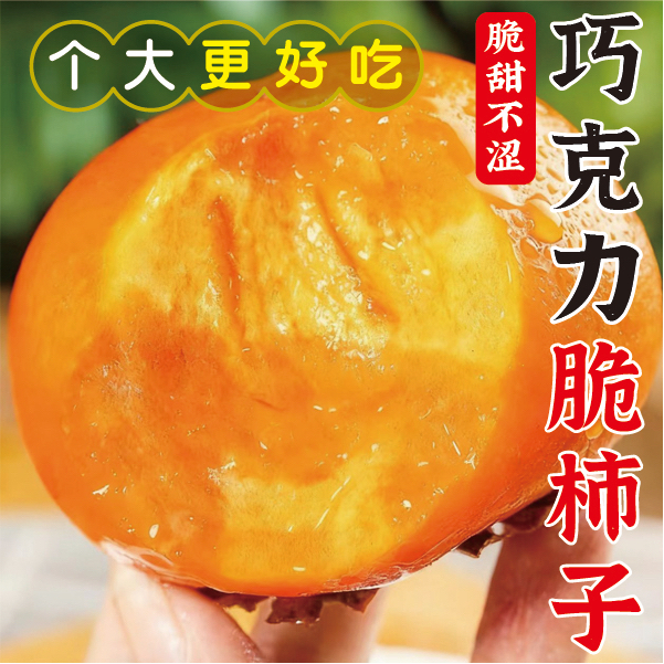 【现摘现发】冰糖心巧克力脆柿子阳丰甜柿子新鲜当季水果无核脆甜