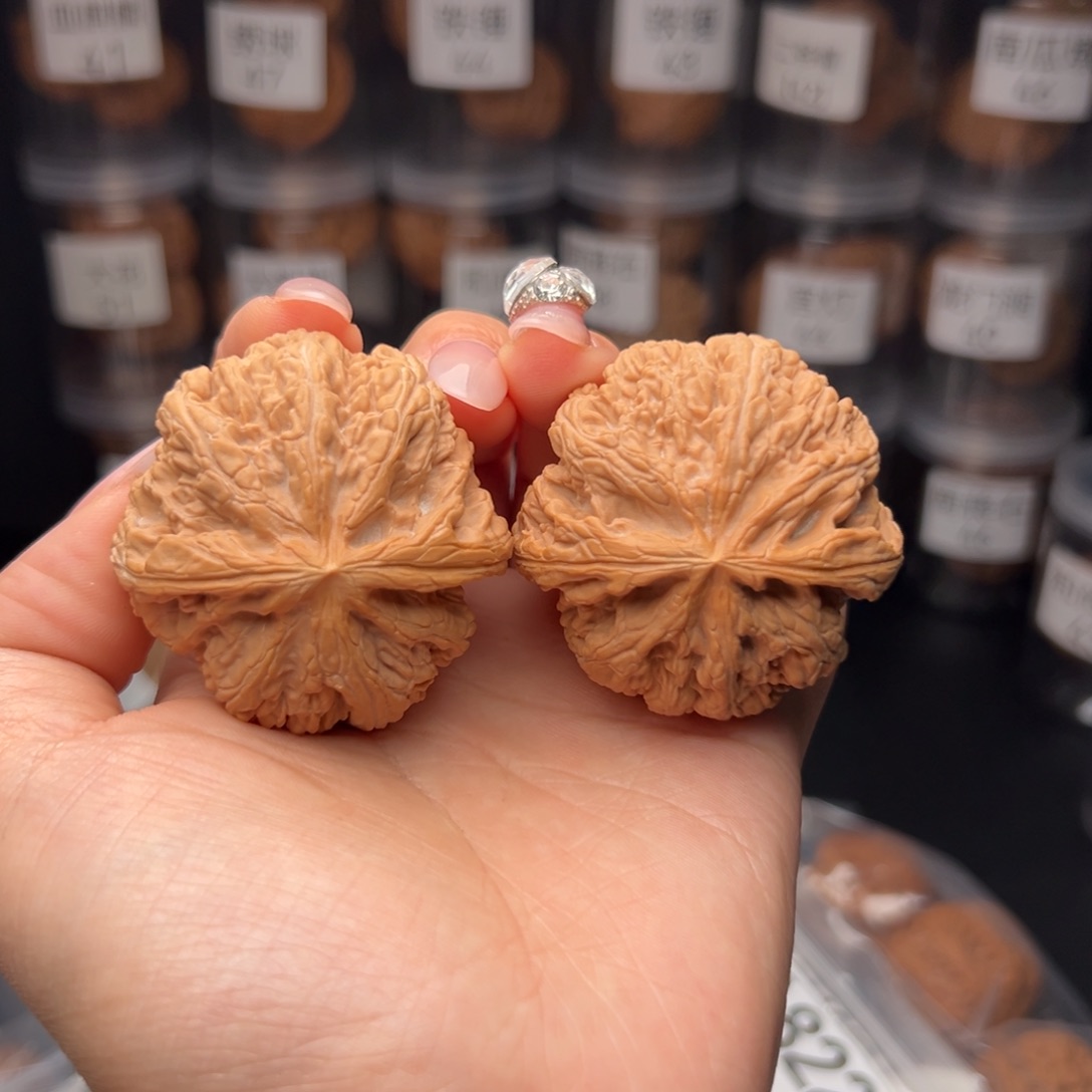 文玩核桃吊坠熊***官d大粗筋