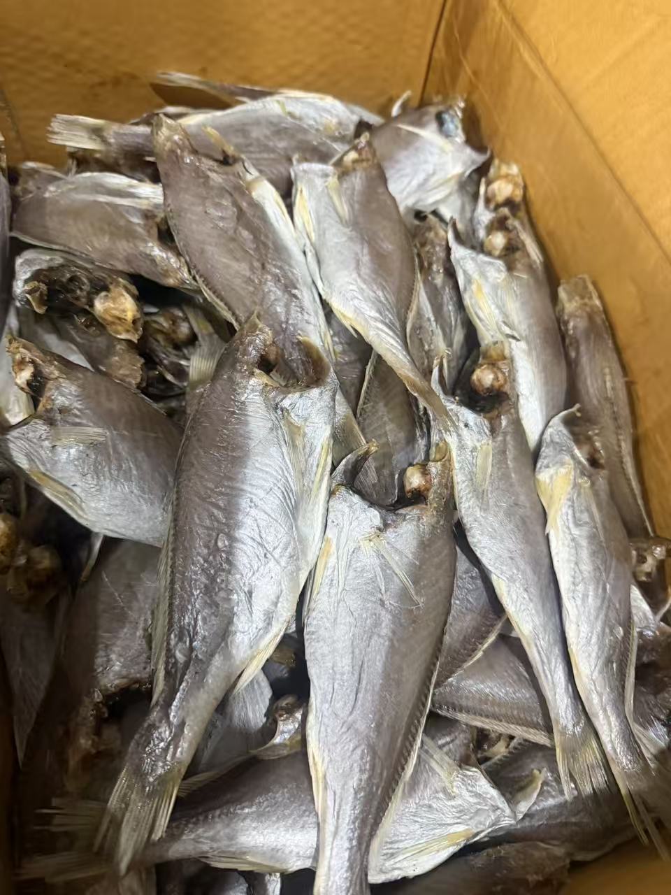 温州特产白梅鱼半干货去头淡晒咸香美味咸淡500g/斤