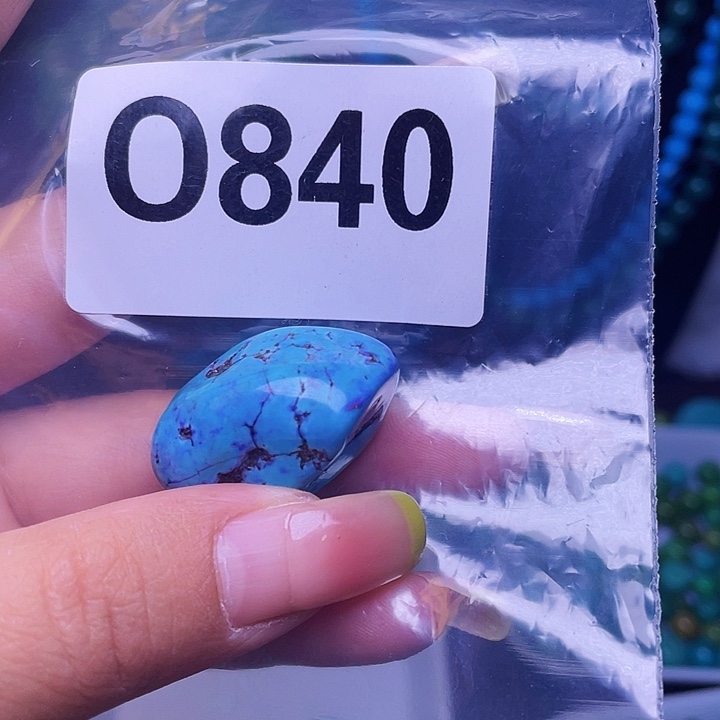 空竹粉丝福利专享
