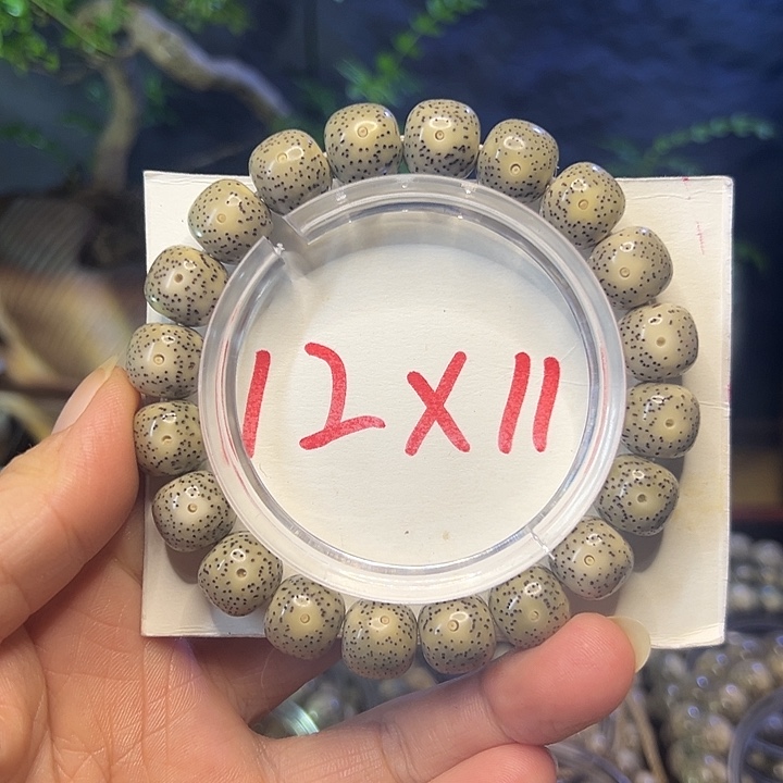 手串星月菩提海南原生态