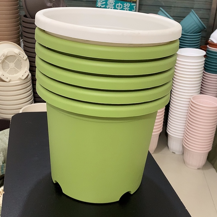 四季口29高25，6个无托