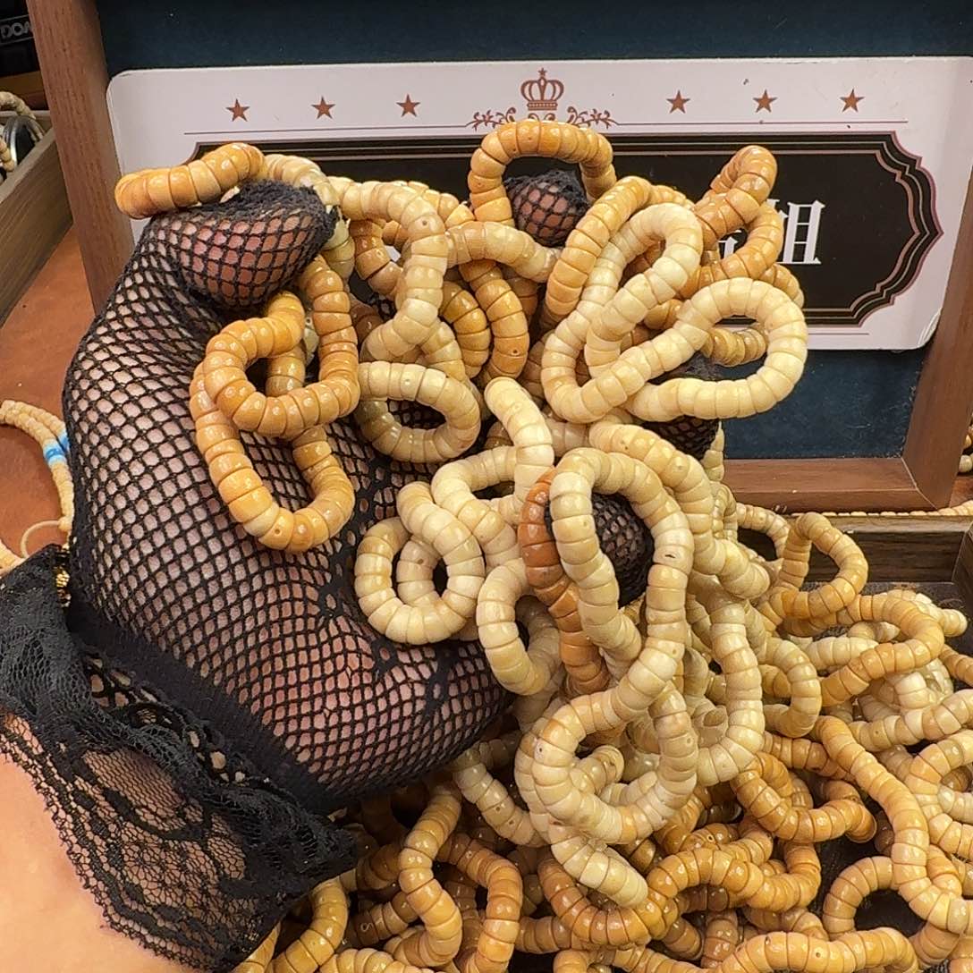 手串菩提根/象牙果龙脊菩提大肠带月单圈