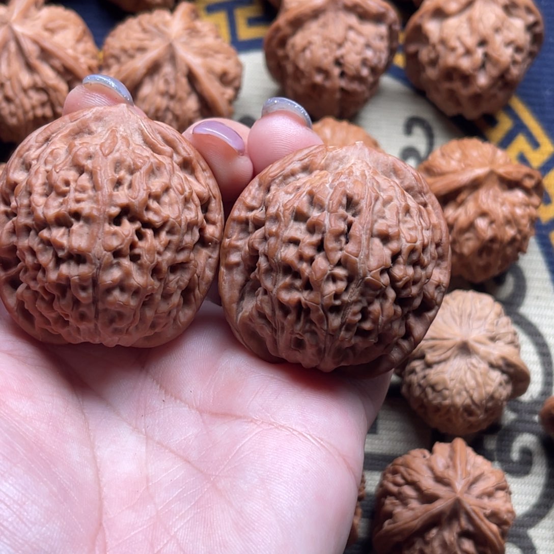 核桃高端小众莲花40