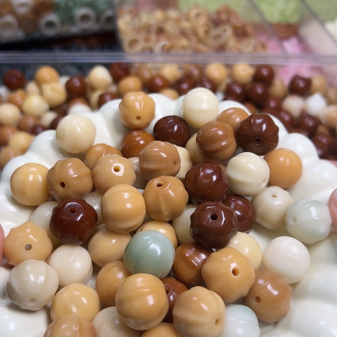 菩提根/象牙果吊坠3颗18尺寸沙鱼背瑕疵拍三单➕1单