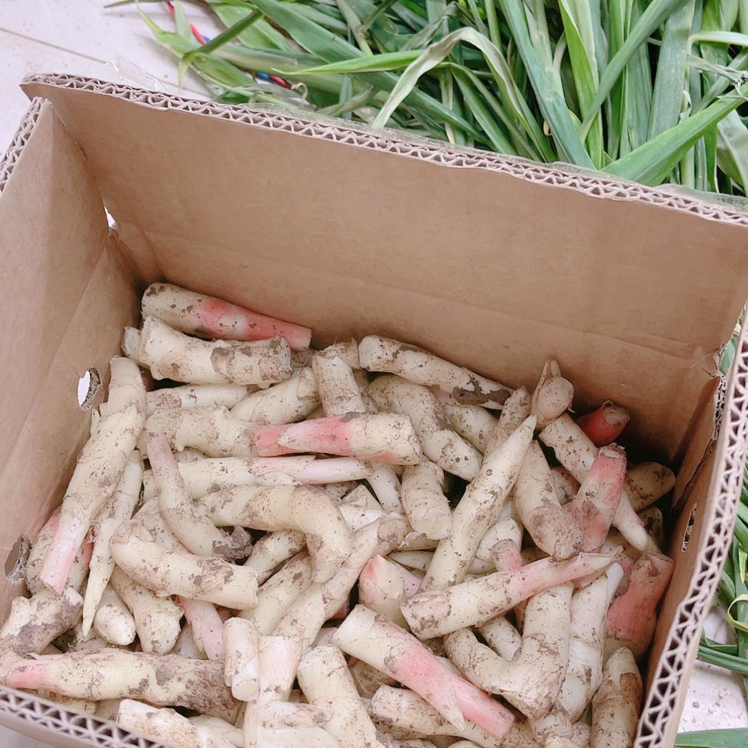 黄姜中国大陆碎姜牙