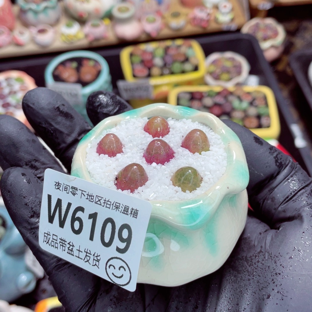 夜间零下地区拍保温箱w6109