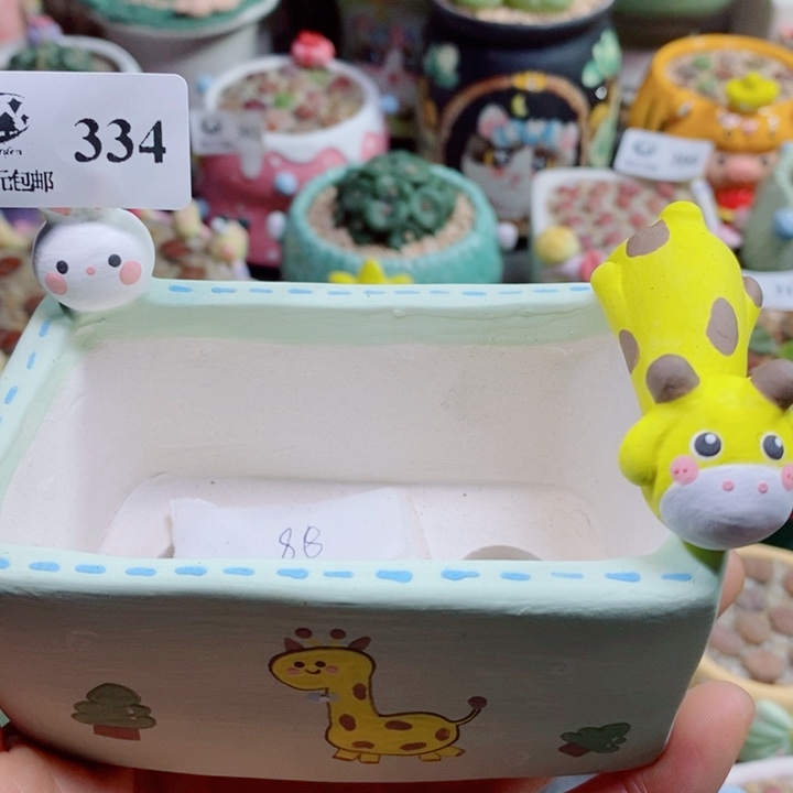 静***阳生石花花花花花花花334