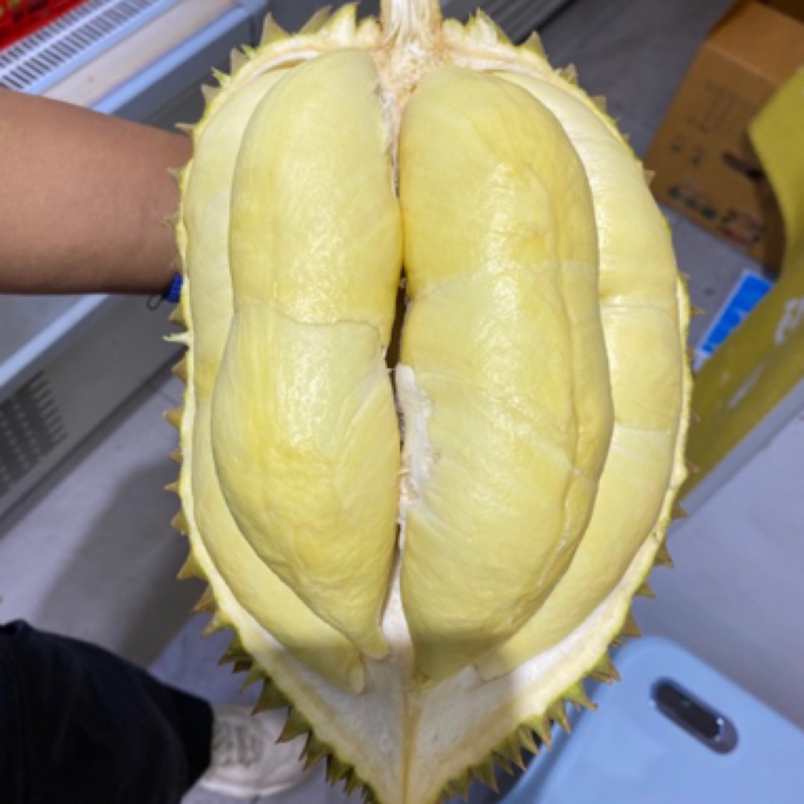 【树上熟金枕榴莲肉】纯肉树上熟金枕鲜榴莲核小248元/1500g/树上熟榴莲同城配金枕泰国东部