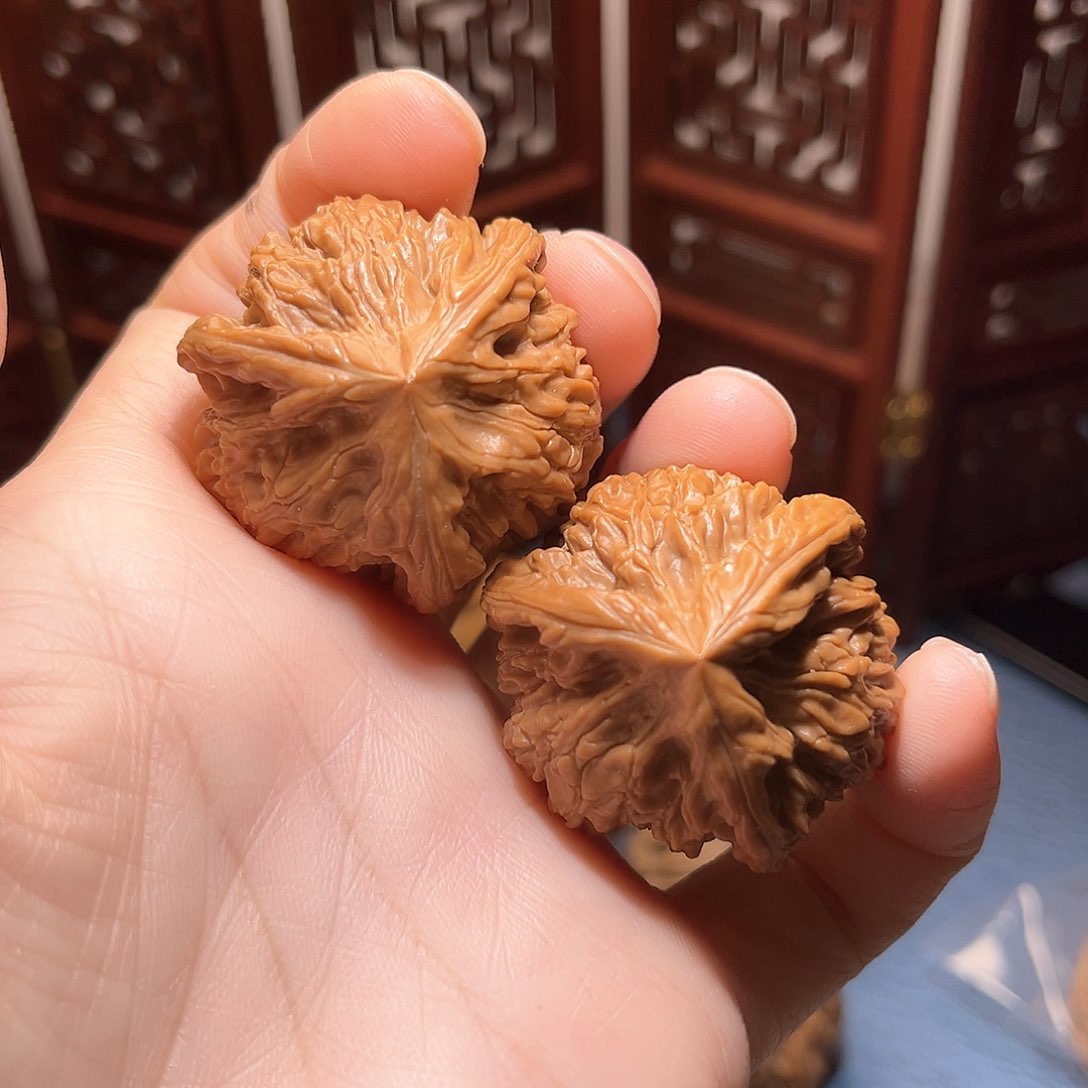 37全品御龙粗筋三棱……