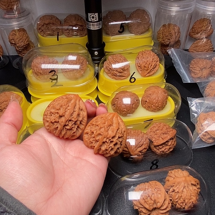 边肚高43 高尖龙门涧      