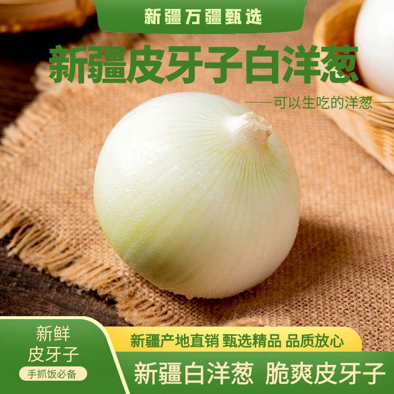 新疆皮牙子白洋葱脆爽多汁凉拌调味手抓饭必备新疆原产地包邮直发