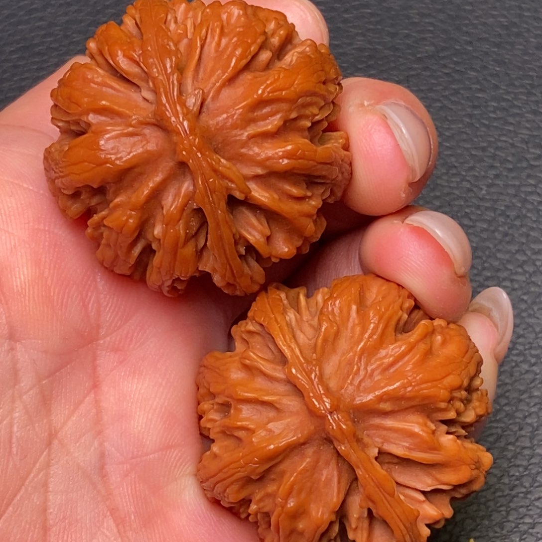 桃核手串秦岭野生核桃