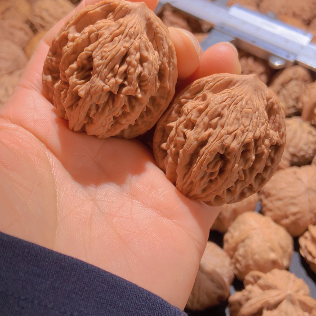 文玩核桃把件天**将文玩核桃