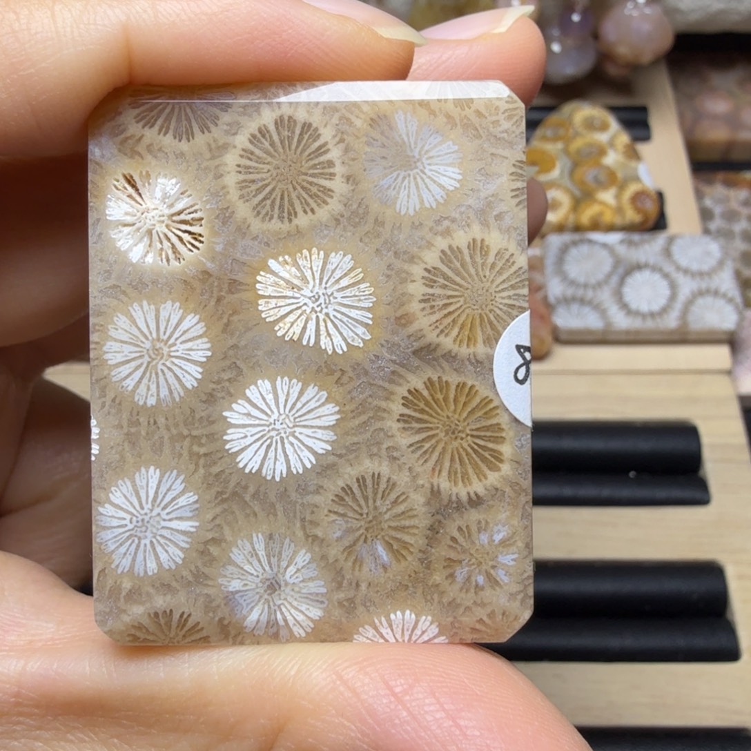 硅化玉未镶嵌咖色大花带白皮