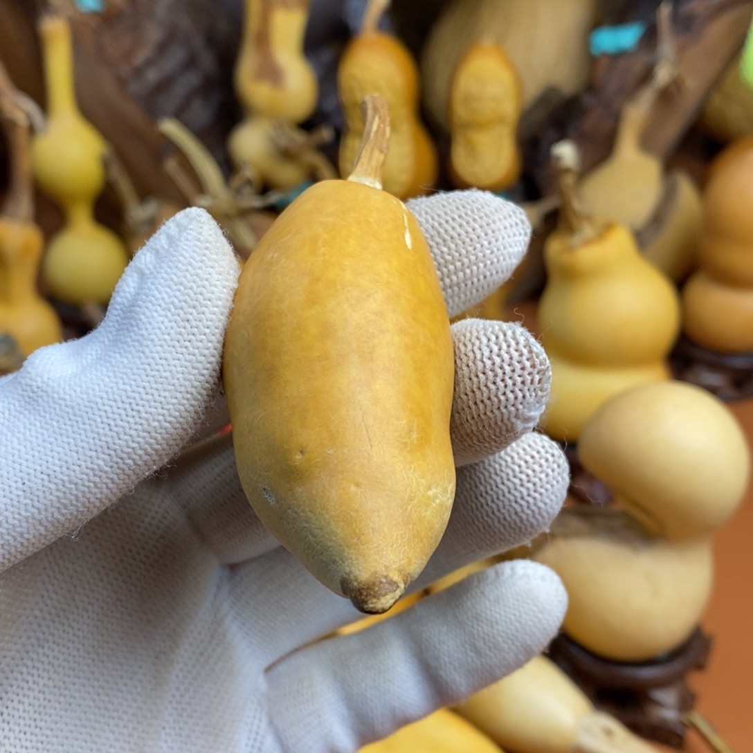 二***哥啦啦教练咯教练咯教练