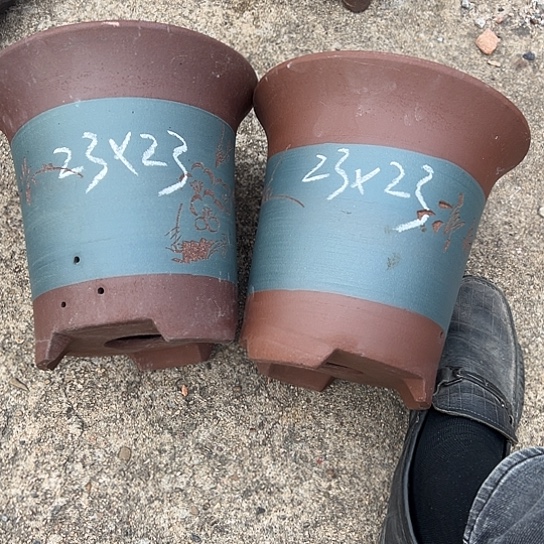 紫砂工艺厂……紫砂工艺厂……紫砂工艺厂