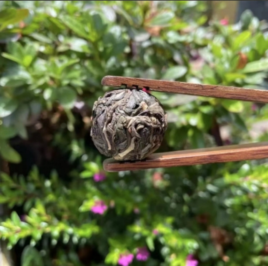 [Y]2023年薄荷塘单株珍藏古树普洱茶【生茶】8g龙珠