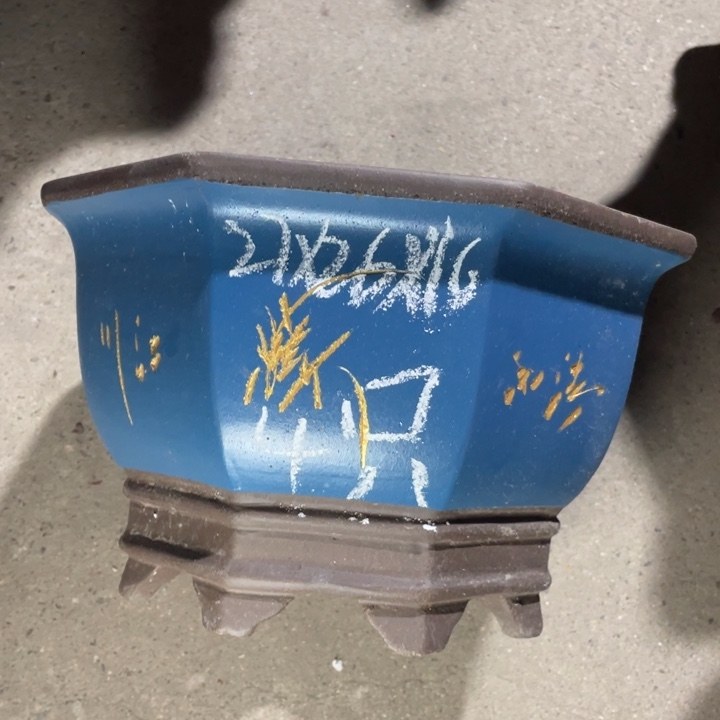 自作自受周三周四周三周四  