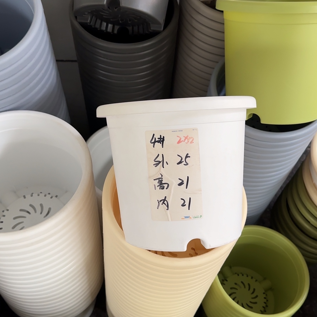 微瑕4号8个无托，白色