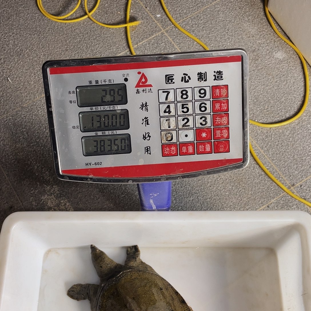 中国大陆12345678