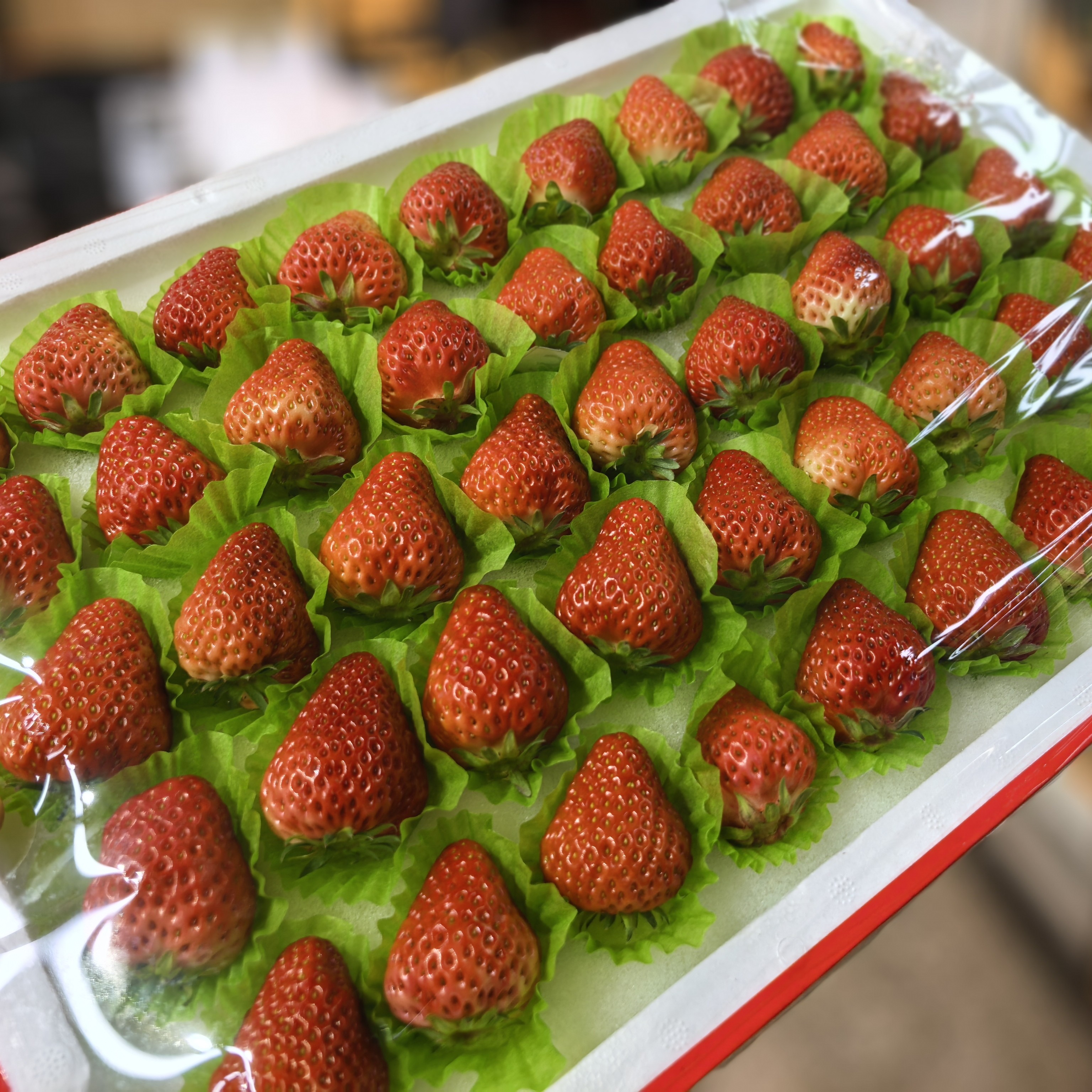 1级丹东99草莓1板.2.5斤