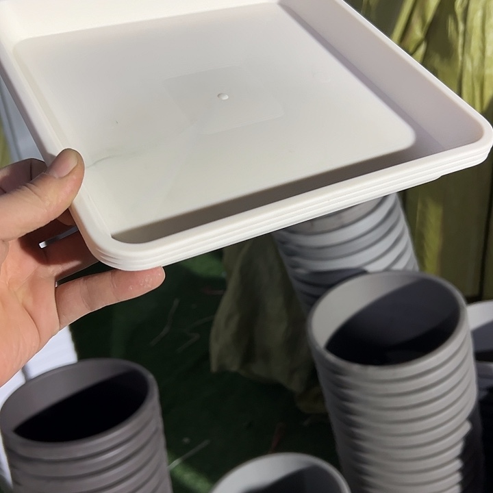 巴***敏米白方球根用托盘6个