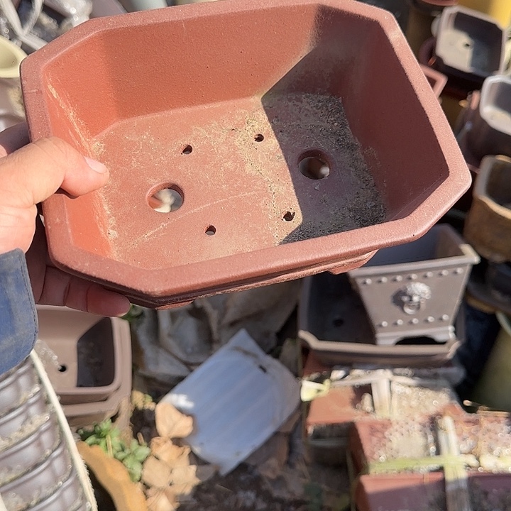 一哈来我这儿吃饭啊亲爱的媳妇